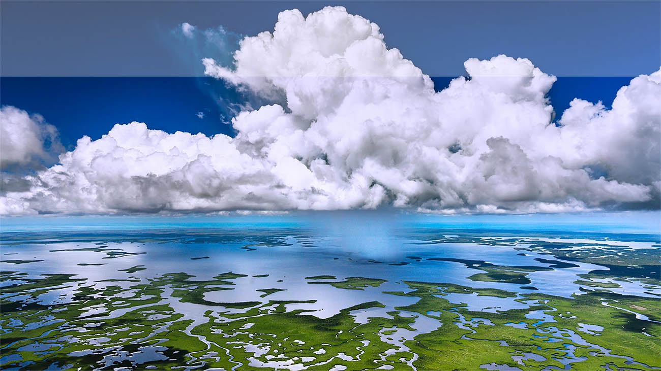 Everglades | Natural Alkaline Mineral Spring Water